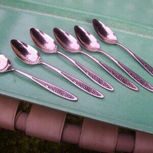 6 VINTAGE STAINLESS GRAPEFRUIT SPOONS - ECKO ETERNA COUNTRY GARDEN PATTERN 6